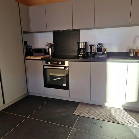 4 Chambres, Confort Moderne, Areches-beaufort - Fr-1-342-331 * Beaufort (Savoie)